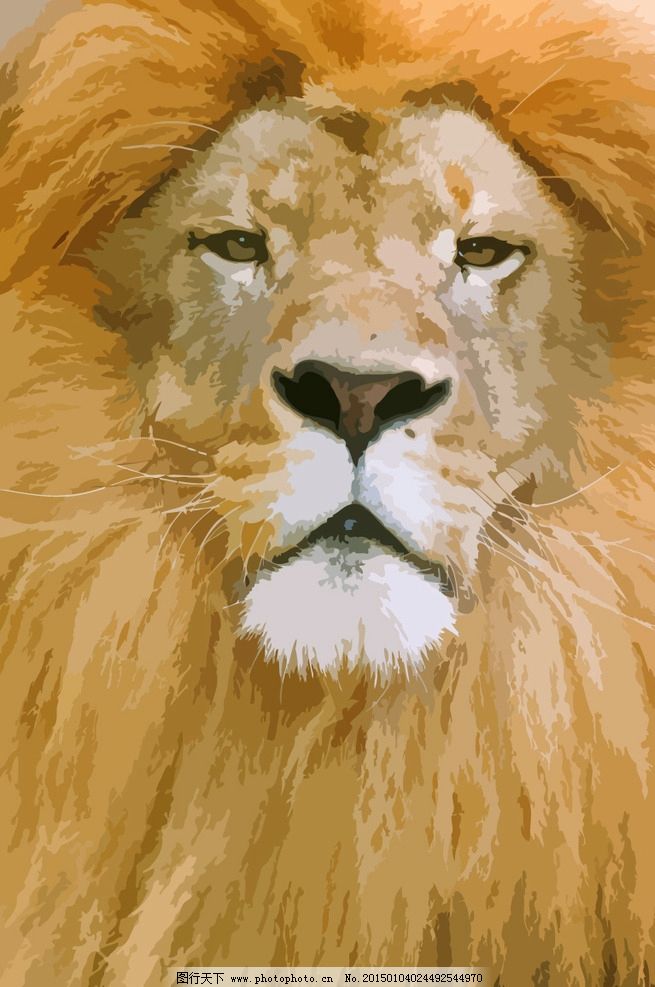 狮子 草原之王 哺乳动物 猫科动物 食肉动物 手