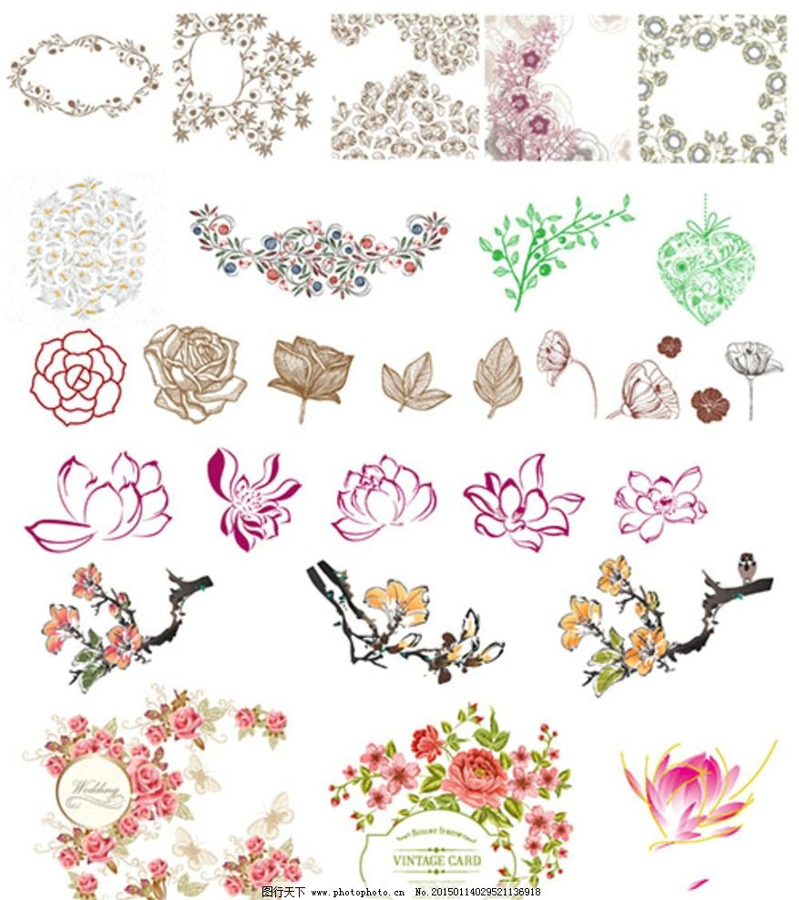 矢量花卉 花卉 植物矢量 花草 花边 线描花朵 玫瑰 莲花 荷花 水墨图片