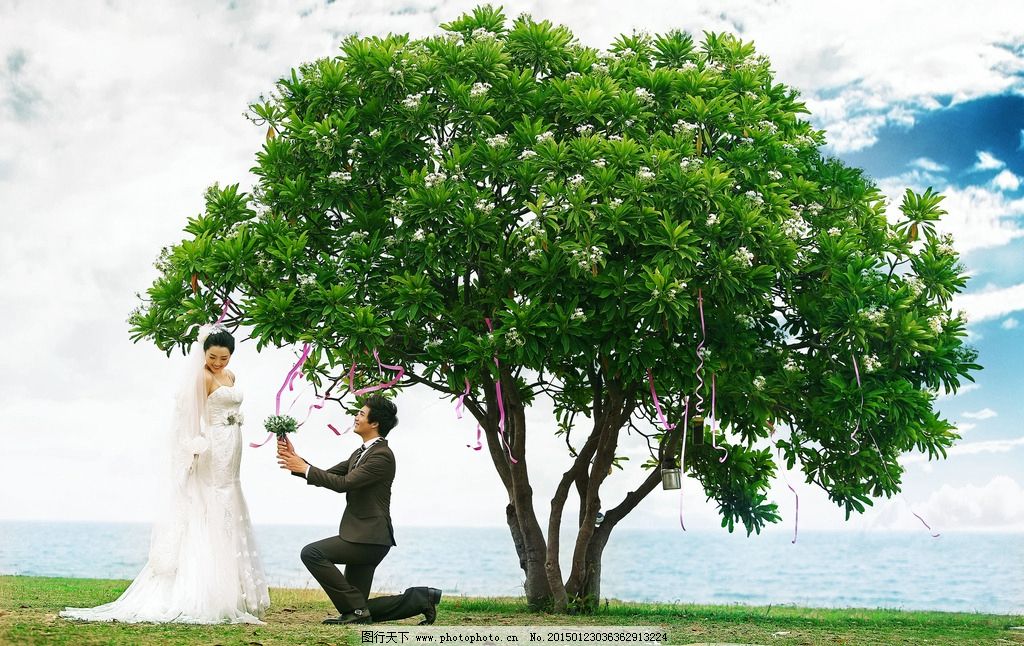 唯美婚纱照图片,素材下载 个性婚纱照 室内婚纱