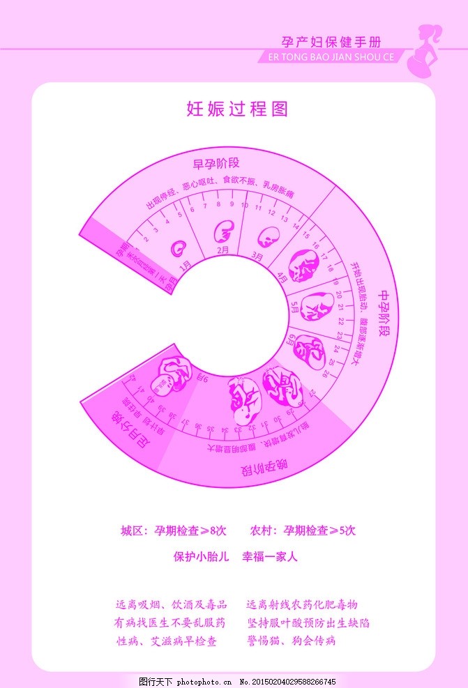 妊娠过程图,生育过程图 孕育 养育 怀孕 孕妇-图