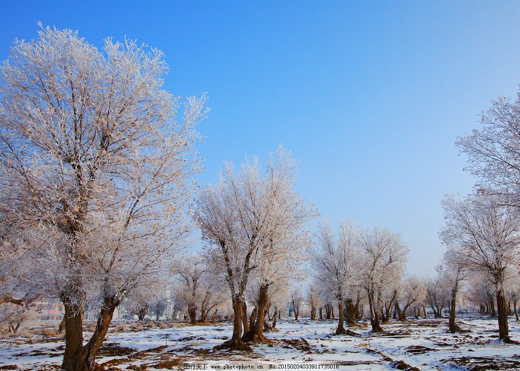图木舒克 唯美 风景 风光 旅行 新疆 自然 雪景 摄影 国内旅游