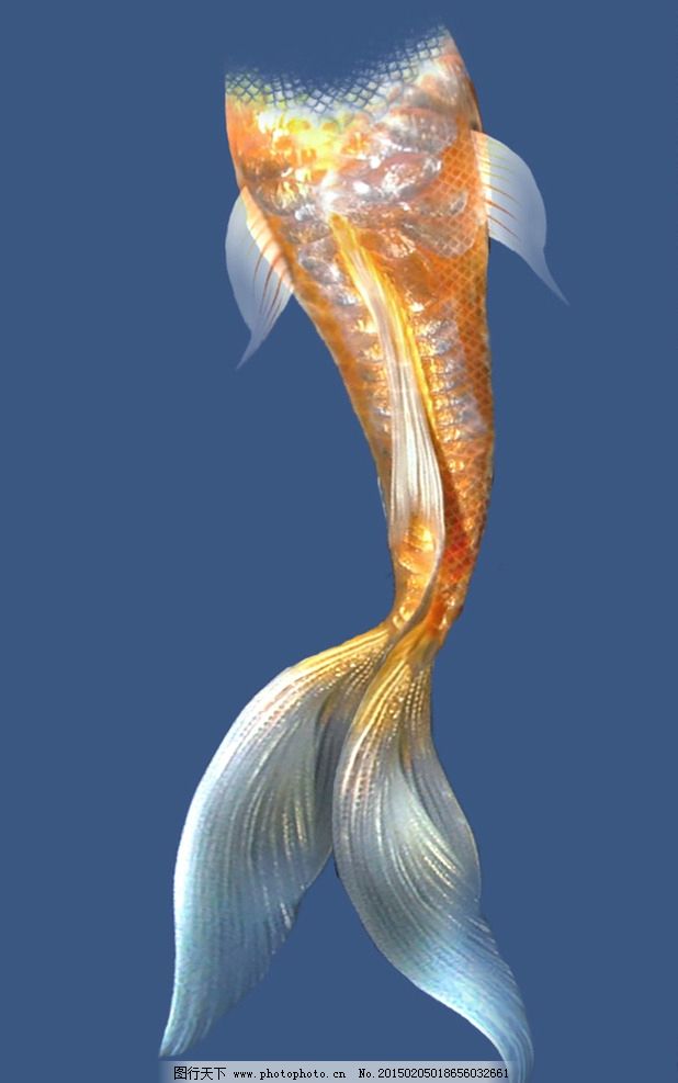 美人鱼尾巴图片_其他_动漫卡通_图行天下图库