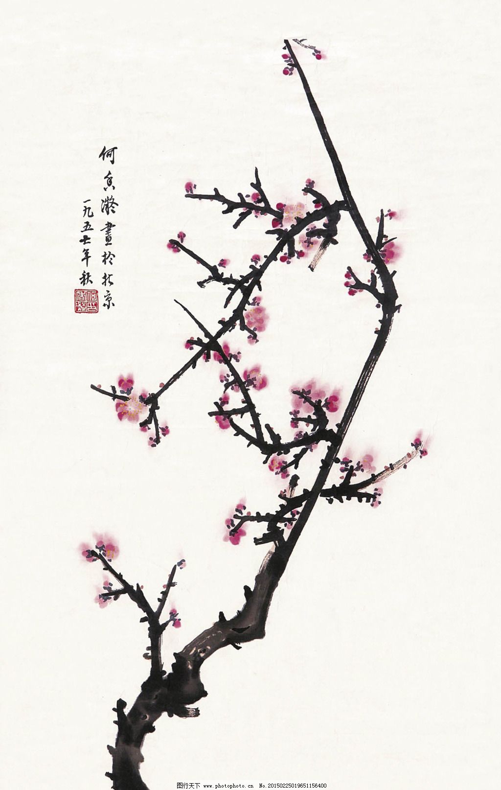 一枝梅花图片