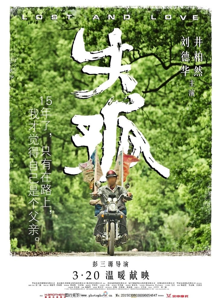失孤电影海报图片
