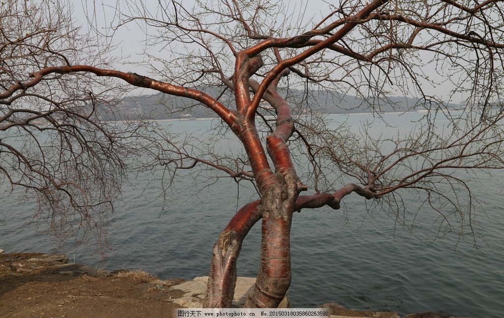 梦境的警示，解析梦见自己孩子掉楼下摔死了的深层含义