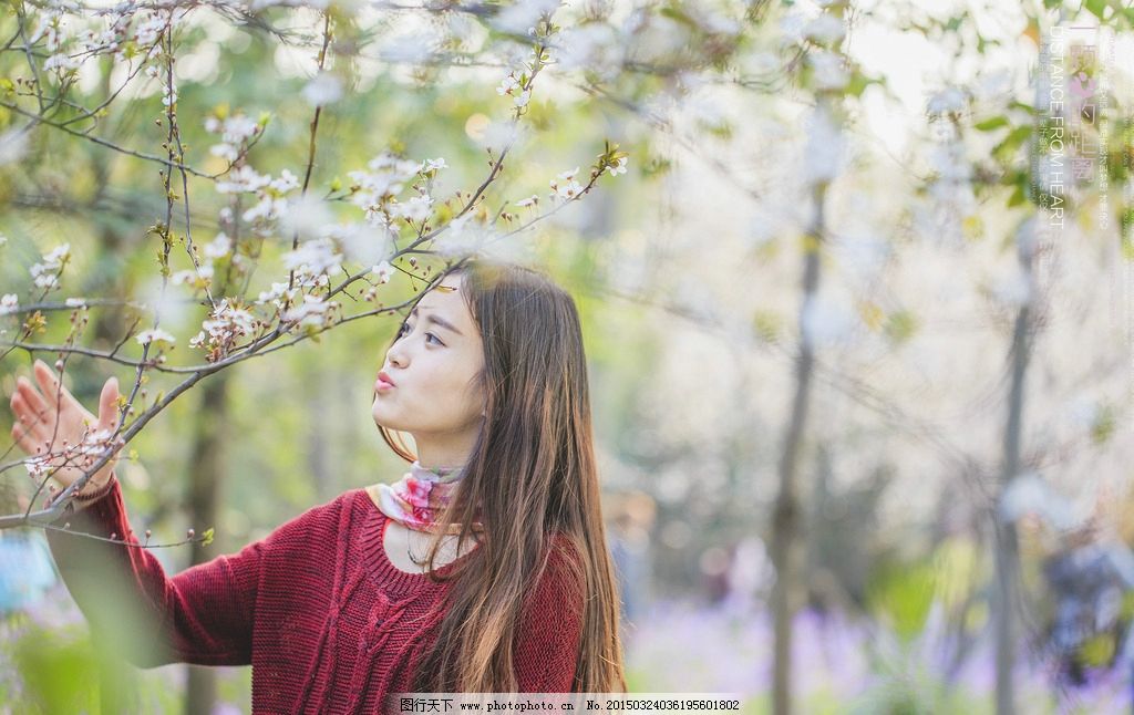 发型设计 樱花短发美女唯美 ></p></a> 清纯和服美女樱花树下唯美壁纸下  清纯