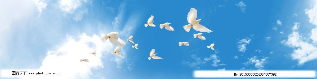 歌曲古巴民歌鸽子曲谱