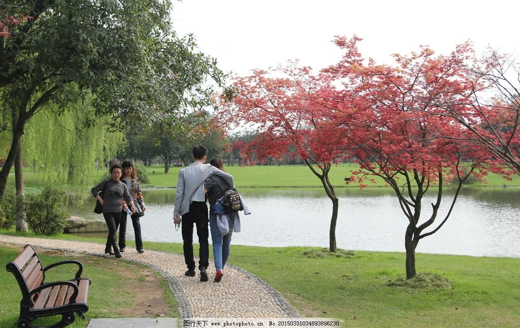 春游 风景 绿地 草皮 树木 春天风景 小湖 游人 摄影